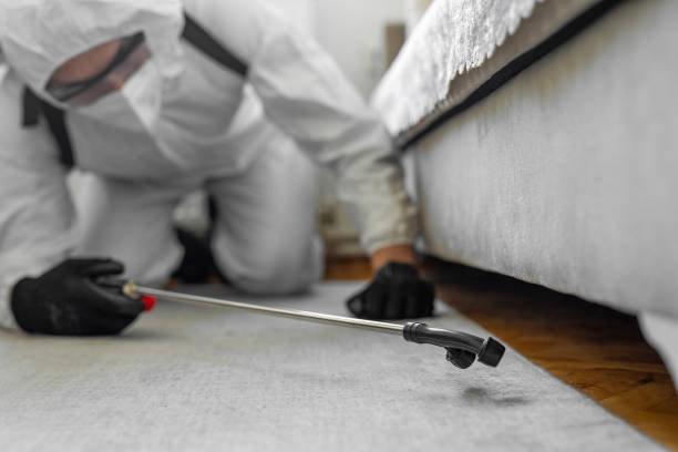 Professional Termite Control technician working in Covington County County, MS
